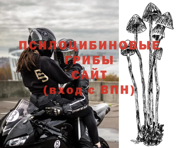 MDMA Premium VHQ Алзамай