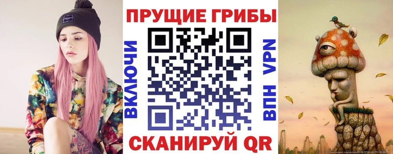 Галлюциногенные грибы Psilocybine cubensis  Нижний Тагил 