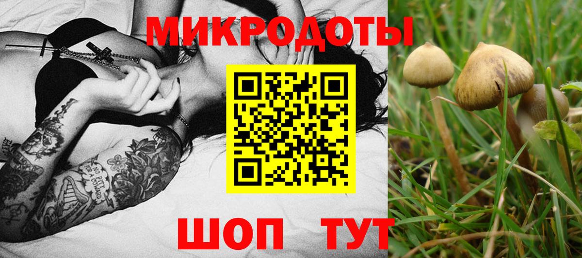 Псилоцибиновые грибы Magic Shrooms  Вход с VPN  Нижний Тагил 